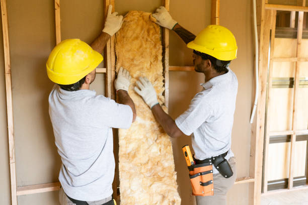 Best Garage Insulation Installation  in Hickory, NC