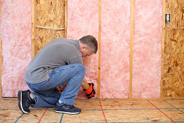 Best Insulation Inspection Services  in Hickory, NC