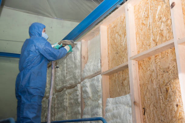 Best Insulation Removal  in Hickory, NC