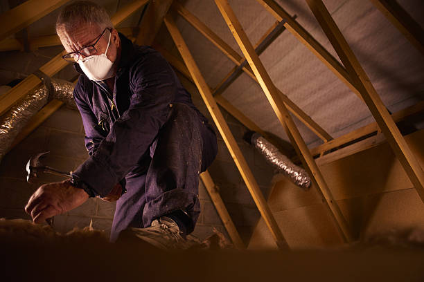 Best Professional Insulation Contractor  in Hickory, NC