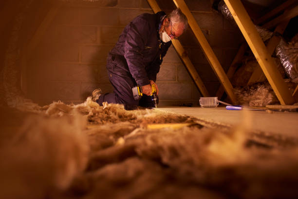 Best Residential Insulation Services  in Hickory, NC